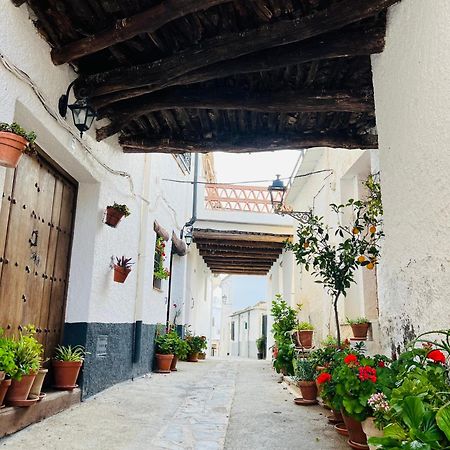 Apartamento Los Tinaos Pitres Dış mekan fotoğraf